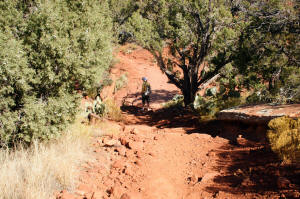 Doe Mountain lower Trail