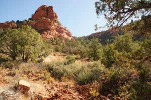 Looking up at Doe Mountain