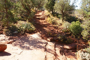 Doe Mountain Lower Trail