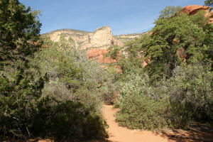 Fay Canyon Trail
