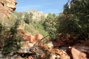 North Fork Fay Canyon