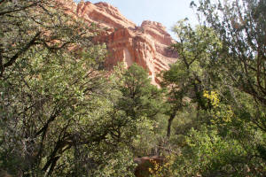Fay Canyon - Red Cliffs