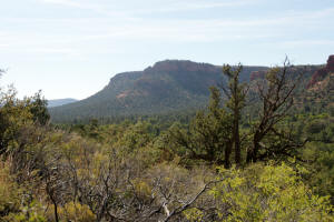 View to East Fay Canyon Arch