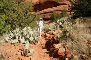 Fay Canyon Arch Trail