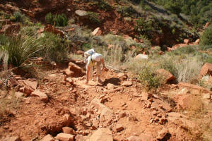 Final Climb Fay Arch Trail