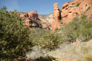 View Up Fay Canyon