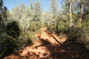 Cibola Pass Trail