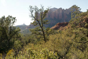 Cibola Pass Trail