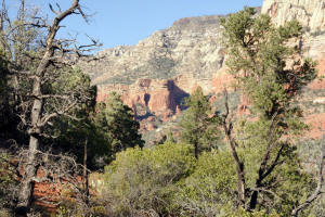 East side of Cibola Pass Trail