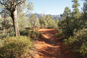 Cibola Pass Trail