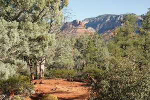 Cibola Pass Trail