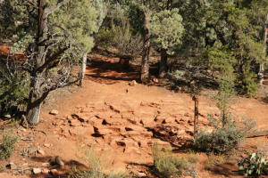 Jordan Trail