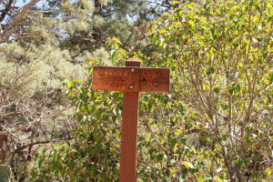 Cibla Pass Trailhead