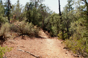 Second Half of Jordan Trail