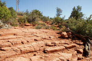 Jordan Trail Rock Steps