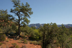 Jordan Trail