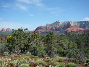 View to north from Huckaby Trail of Wilson Mountain and Steamboat Rock