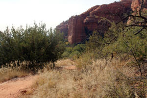 Trail Back from Sinagua Indian Dwelllings
