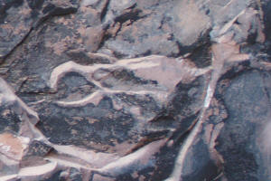 Eagle Rock Formation at Pataki