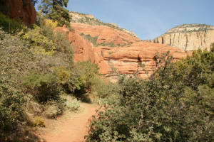Trail Back to Visitor's Center