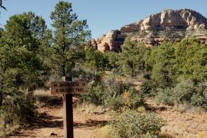 Soldier Pass Trailhead off of Brins Mesa Trail