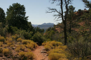 Trail Starting Dowin Into Soldier Pass