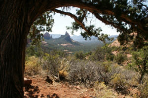 Upper Soldier Pass Trail Looking South