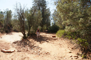 Jeep Trail