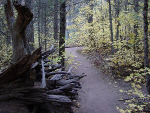 West Fork Trail