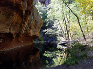 West Fork Trail Looking Downstream zt 1st Crossing