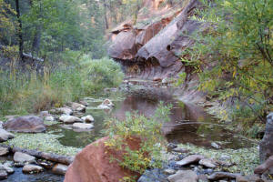 Look Upstream from 3rd Stream Corssing