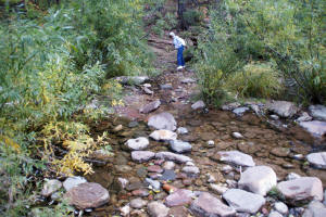Fouth Creak Crossing