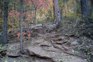 Rock Stepping Stones - 4th Crossing