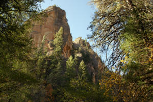 West Fork Trail - Rock Formations