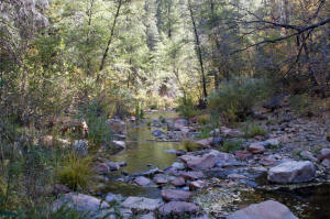Stream Crossing