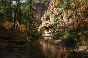 West Fork Trail - Looking Upstream