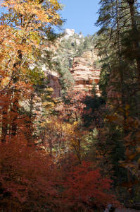 West Fork Trail Rock Formations