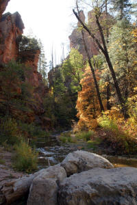 View Downstream West Fork Trail