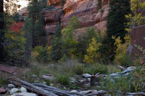 West Fork Trail - Stream and Cliffs
