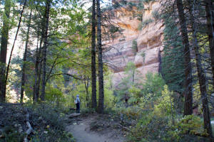 West Fork Trail - Hiker and Cliffs