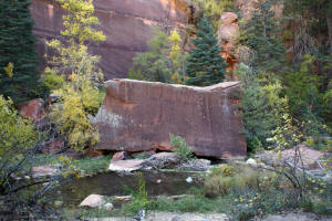 West Fork Trail - Large Rock Cube