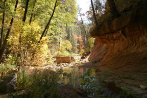 West Fork Trail View Downstream