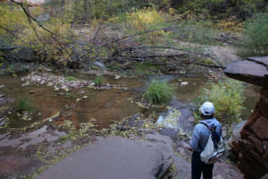 Stream Crossing