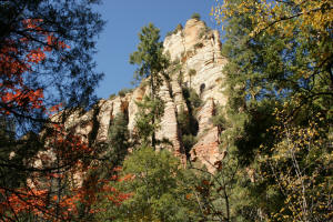 West Fork Trial Trees and Cliffs