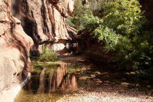 West Fork Trail - Trail End