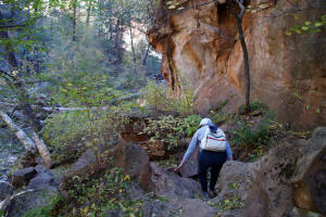 Hiking Back Downhill