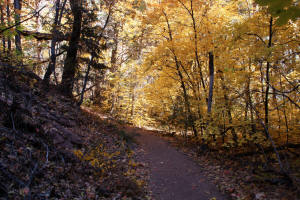 West Fork Trail