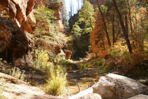 West Fork Trail