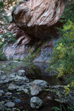 Looking Downstream From West Fork Trail First Crossing.