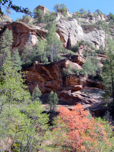 West Fork Trail View of Rock Formation